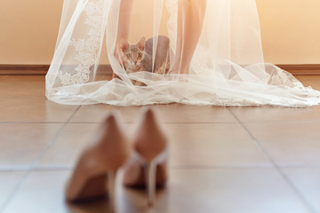 Funny curious cat sits under the bride's veil in the morning and looks at the wedding shoes.
