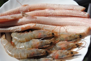 Cooking fresh seafood. Shrimp, stingray, dorado and seabass on a plate.