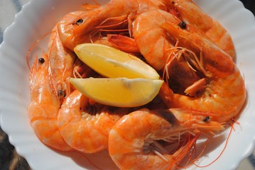 Cooking fresh seafood. Shrimp, stingray, dorado and seabass on a plate.