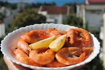 Cooking fresh seafood. Shrimp, stingray, dorado and seabass on a plate.