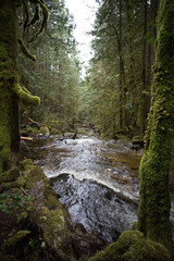 Obraz premium Waters