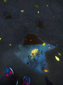 Sky in puddle