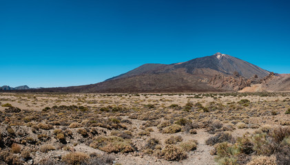 desert valley in mountain  landscape , Pico del Teide , Tenerife