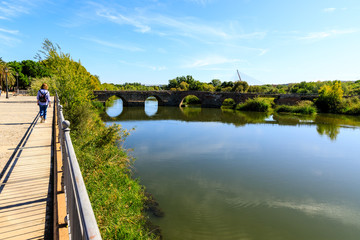 The Tajo River as it passes through Talavera de la Reina, Toledo, Spain