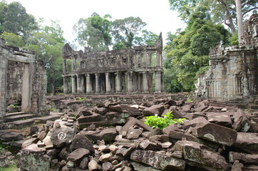 Angkor Wat Tempelanalge im Urwald