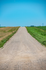 gravel road in the summer