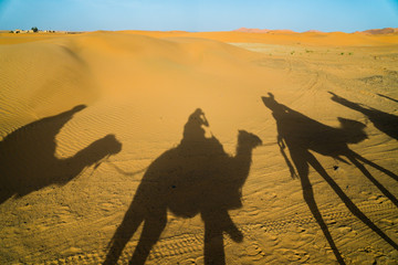 Shadows of people riding camels in the sahara Desert on a tour in Morocco