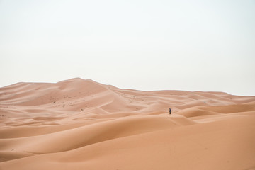 Fototapeta na wymiar Sahara desert dunes on a cloudy day with no shadows