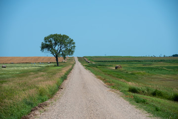 Fototapeta na wymiar gravel road with tree 