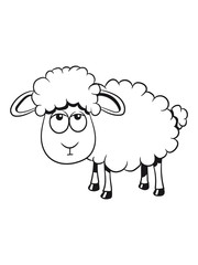 Schaf Weide fressen Herde süß lieb Wolle Nutztier grasen witzig 1c