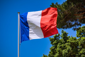 Fototapeta na wymiar French waving flag with blue, white and red, against a blue sky and green trees