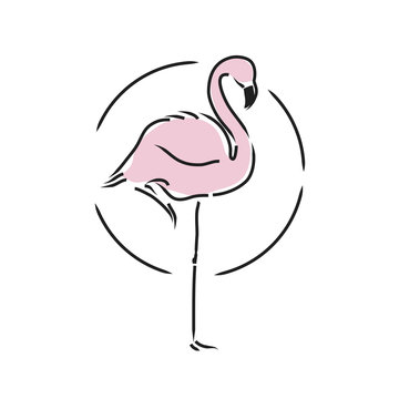 recommend clip art: Flamingo staying on one leg vector illustration 