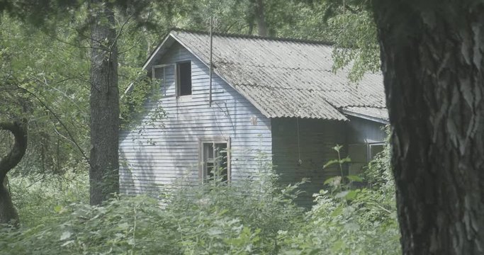 Cinematic shot: Abandoned house in the forest. Mystical landscape. Stooted in log profile. 4k