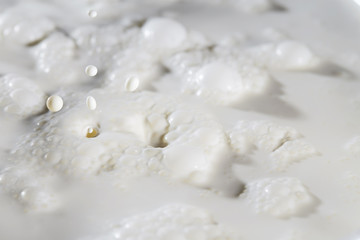 Fototapeta na wymiar Milk DropMilk surface with splashes and bubbles.