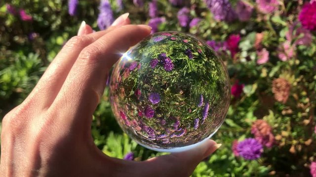 female hand holding magic crystall ball over beautiful nature landscape purple aster flowers field