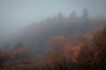 beautiful autumn morning with heavy fog