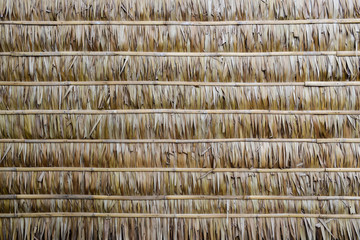 wall of Thai farmer cottage in countryside. Natural leaf texture background