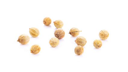 coriander seeds isolated on white background
