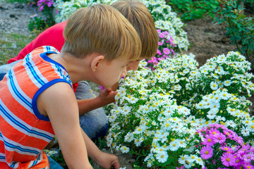 Boy sniffing flowers in a park in a flower garden