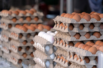 many fresh eggs at the market