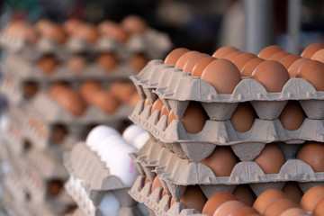 many fresh eggs at the market