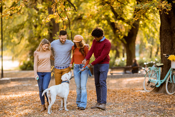 Multiracial young people walking in the autumn park and having fun