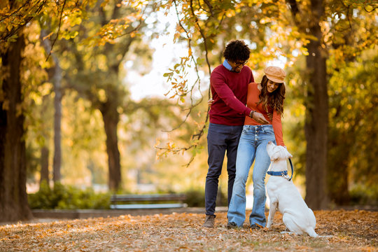 Multiracial couple walking with dog in autumn park