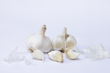 Garlic on a clean white background