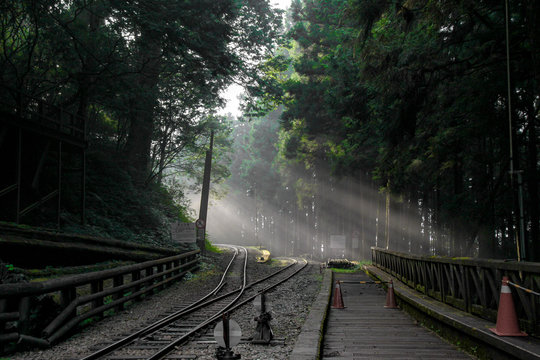 Alishan,taiwan-October 14,2018:sunlight in forest on the railway at Alishan line,taiwan
