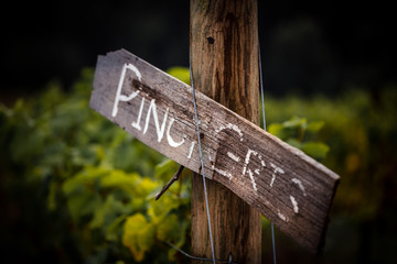 Pinot Gris wooden sign