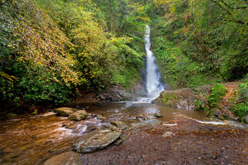 White lady falls Devon