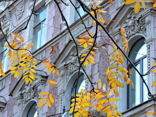 colorful wall of old house  with windows, Saint-Petersburg