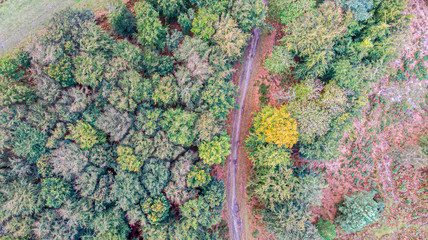 An aerial view of a forest with autumn color, grassy track and heater