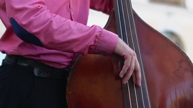 The musician plays the double bass, a very interesting movement of strings.