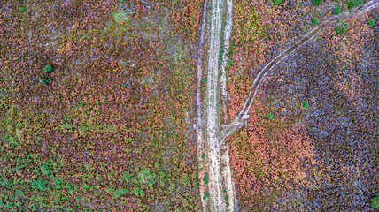 An aerial view of heater with autumn color and some dirt track