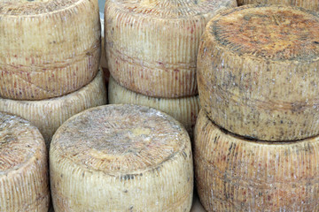 Naklejka premium aged cheese for sale