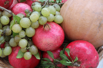 Autumanl background with fruit of season
