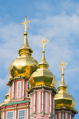 Fototapeta na wymiar Domes of the forerunner Church in the Trinity-Sergius Lavra