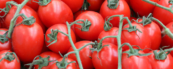 background of red ripe tomatoes