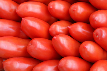 background red ripe tomatoes of san marzano quality for sale