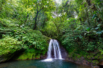 Aprende a pronunciarPetit Borg, Basse Terre / Guadeloupe. 04.09.2014.Cascade Aux. Ecrevisses in...