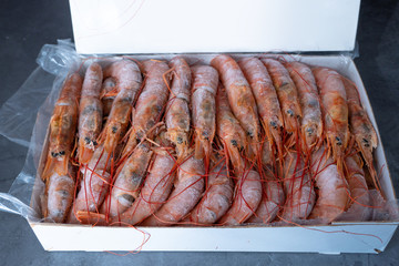 Large frozen langoustines in a package. Seafood.