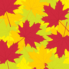 Naklejka na ściany i meble Vector illustration of autumn maple leaves