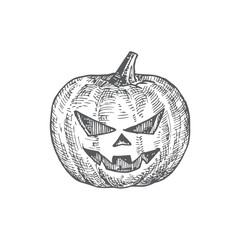 Hand Drawn Halloween Scary Pumpkin Vector Illustration. Abstract Jack Lantern Sketch. Engraving Style Drawing.