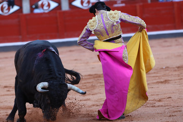 Toro y torero en la plaza