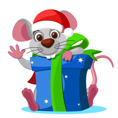 Mouse in a hat looks out from behind a box gifts on a white background. Christmas