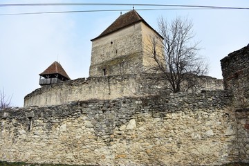 medieval castle ruins in winter