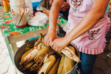 Elotes Traditional mexican food, corn cob in Mexico