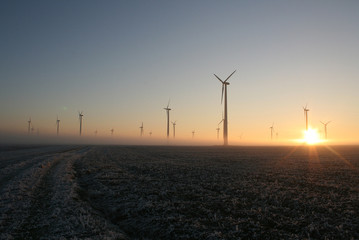 Obraz premium Windräder im Sonnenuntergang Sunset Sun down umgeben von Nebel schöner Anblick Stimmung weite