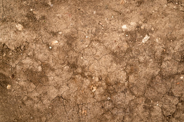 Dry brown earth with dark cracks. Yellowish brown color